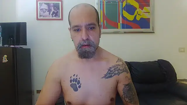 Snapshot of AMIRDIB2025 chatting on 08-03-26, 10:10 AMIRDIB2025 online show from 08-03-26, 10:10