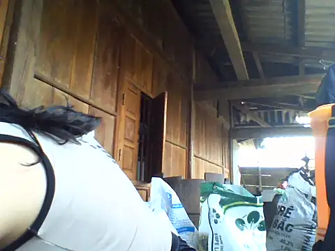 Alibabapi online show from 04-11-26, 08:07