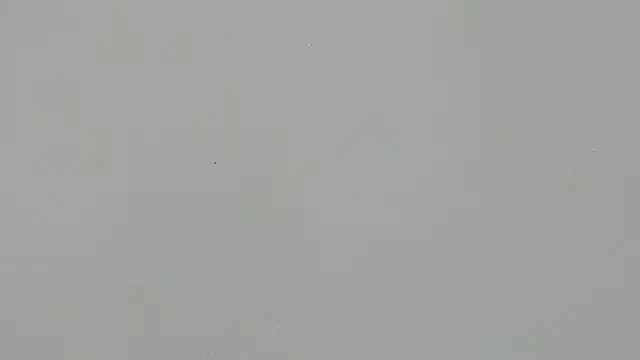 Ladymadinght online show from 02-04-26, 02:01