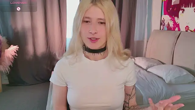 error occurred  online show from 04-10-26, 12:32