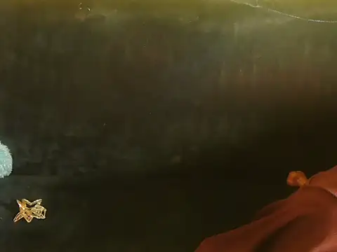 Snapshot of Bristi_03 chatting on 06-15-26, 01:02 Bristi 03 online show from 06-15-26, 01:02