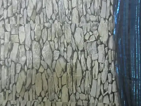 Exotic indian95 online show from 03-13-26, 06:53