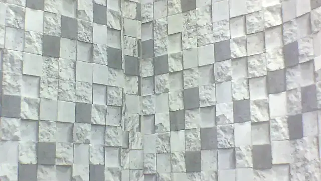 Exotic indian95 online show from 04-16-26, 05:03