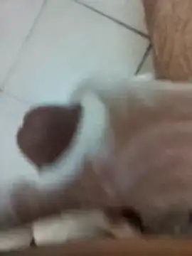 Snapshot of Amoooooun chatting on 12-17-25, 09:04 Amoooooun online show from 12-17-25, 09:04