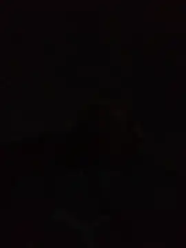 Snapshot of Andreskelly chatting on 04-22-26, 12:35 Andreskelly online show from 04-22-26, 12:35