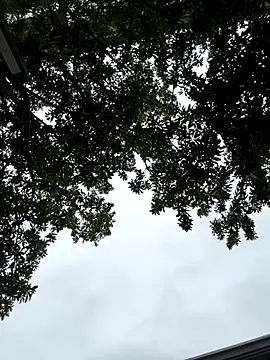 cmvoo online show from 12-21-25, 06:53