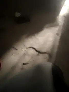 DanielGr27 online show from 02-05-26, 11:31