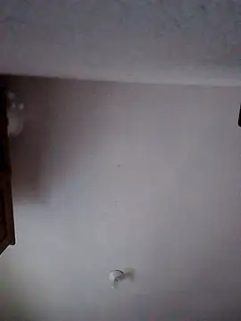 Snapshot of moni_1_ chatting on 01-09-26, 06:49 moni 1 online show from 01-09-26, 06:49