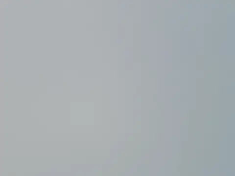 Fish 136 online show from 04-01-26, 01:28