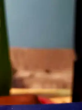 Snapshot of Roberto772 chatting on 02-26-26, 03:38 Roberto772 online show from 02-26-26, 03:38