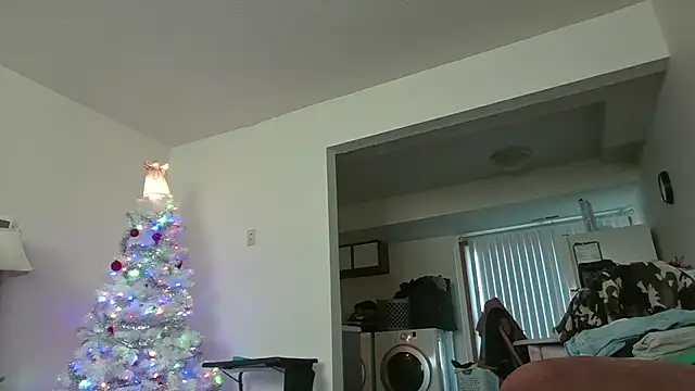 Snapshot of dixielover1229 chatting on 12-17-25, 03:07 dixielover1229 online show from 12-17-25, 03:07