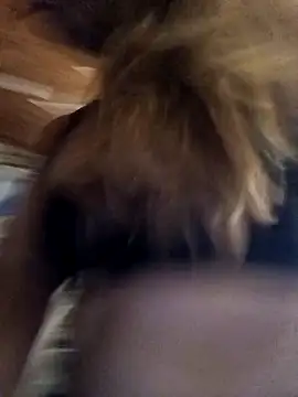 cari75 online show from 02-03-26, 02:53