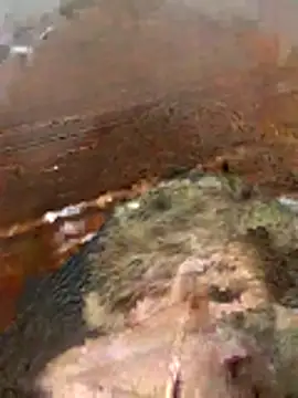 katiyvy online show from 02-16-26, 07:10