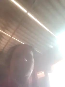 Pinki rajak online show from 04-05-26, 09:39