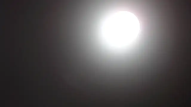 Catherine Walker online show from 12-14-25, 10:20