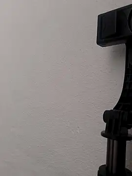 Snapshot of alevlibayan chatting on 12-16-25, 09:58 alevlibayan online show from 12-16-25, 09:58