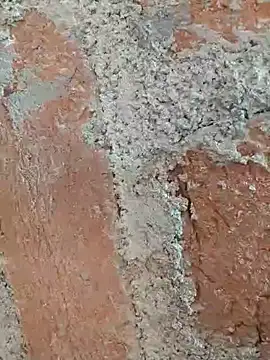 Snapshot of Soniya5533 chatting on 12-14-25, 09:03 Soniya5533 online show from 12-14-25, 09:03