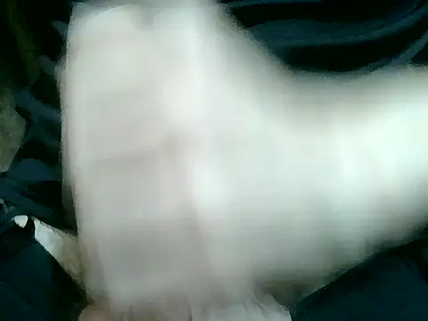 Thickpaper online show from 12-14-25, 09:25