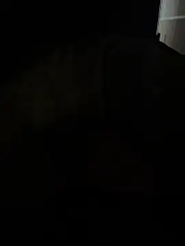 daniele1982 online show from 12-15-25, 04:44