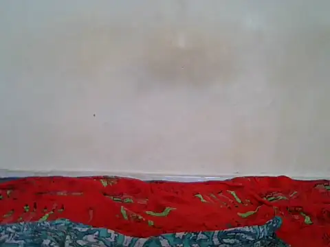 Snapshot of BaddestBitchee chatting on 04-27-26, 02:15 BaddestBitchee online show from 04-27-26, 02:15