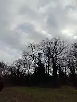 Sacha Scorp online show from 02-07-26, 02:21