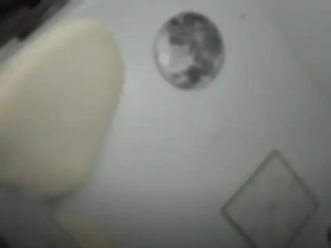 mxshemale ladyboy online show from 03-26-26, 05:29