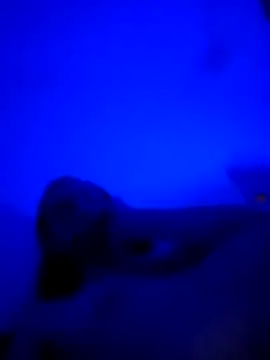 vladopen online show from 01-07-26, 05:21