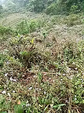 seacyre online show from 04-16-26, 12:44