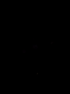 nimmi188 online show from 03-10-26, 07:30