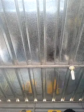 Snapshot of biggy_mash chatting on 12-17-25, 10:32 biggy mash online show from 12-17-25, 10:32