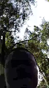 TheVersCouple online show from 01-15-26, 11:26