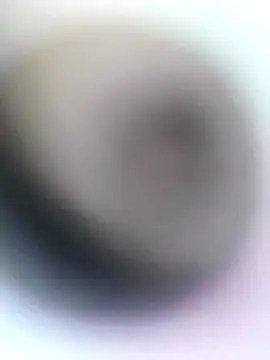 Snapshot of novio-de-la-tarde chatting on 04-28-26, 12:20 novio-de-la-tarde online show from 04-28-26, 12:20