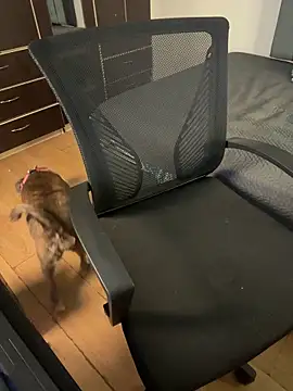 Sofii unicorn online show from 04-21-26, 01:42