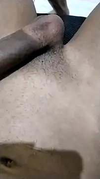 Novinhoie online show from 04-12-26, 07:08