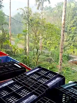 Snapshot of ancyauhuss chatting on 12-22-25, 03:14 ancyauhuss online show from 12-22-25, 03:14