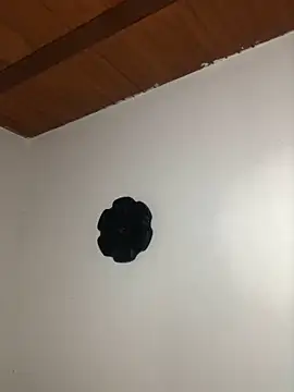 seth c online show from 03-21-26, 06:11