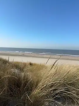 Snapshot of friemeldepiemel chatting on 03-05-26, 01:18 friemeldepiemel online show from 03-05-26, 01:18