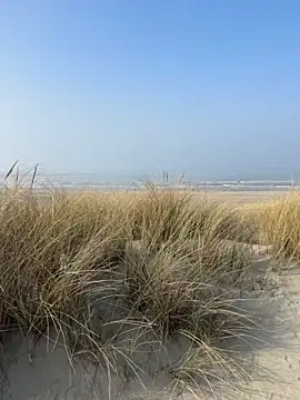 Snapshot of friemeldepiemel chatting on 03-08-26, 12:42 friemeldepiemel online show from 03-08-26, 12:42