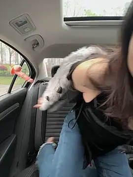 Snapshot of mo-mo-69 chatting on 04-03-26, 02:09 mo-mo-69 online show from 04-03-26, 02:09