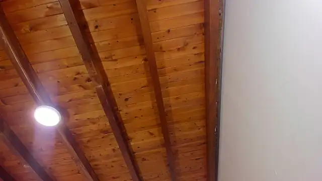 Im FelixHunter online show from 04-14-26, 11:27