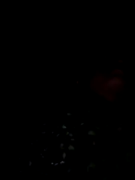 lodhi8080 online show from 03-09-26, 07:07