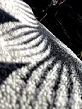 Bhavna8080 online show from 02-20-26, 08:20