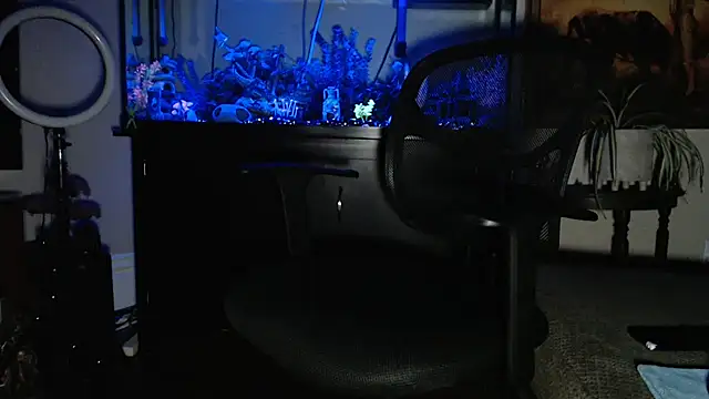 EspanolVato online show from 02-19-26, 10:55