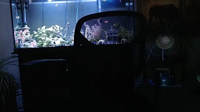 EspanolVato online show from 03-26-26, 12:06