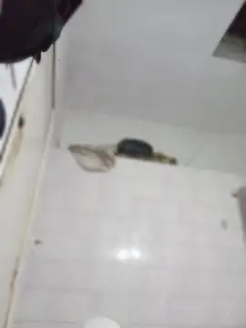 darkgodessone online show from 04-04-26, 11:35