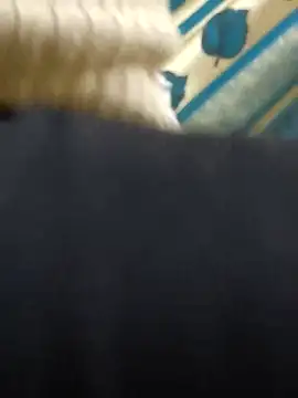 couple fun  online show from 03-02-26, 11:00