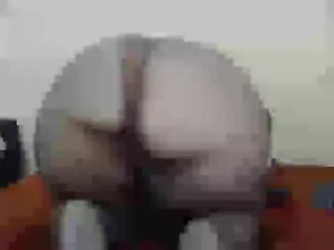 dalukuthula5832 online show from 04-03-26, 04:54