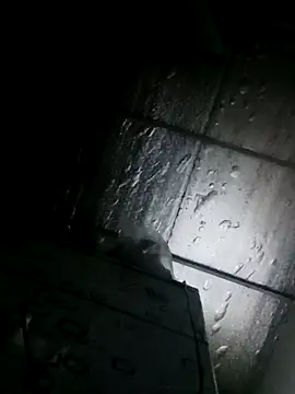 Sana-vn online show from 03-24-26, 11:43