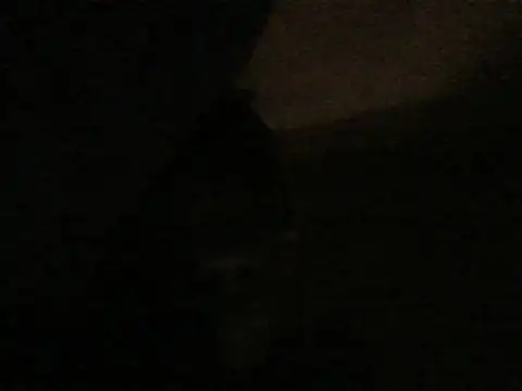 Snapshot of kwandero1234 chatting on 01-09-26, 06:21 kwandero1234 online show from 01-09-26, 06:21