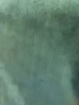 Snapshot of Nooran_noona chatting on 01-07-26, 09:17 Nooran noona online show from 01-07-26, 09:17